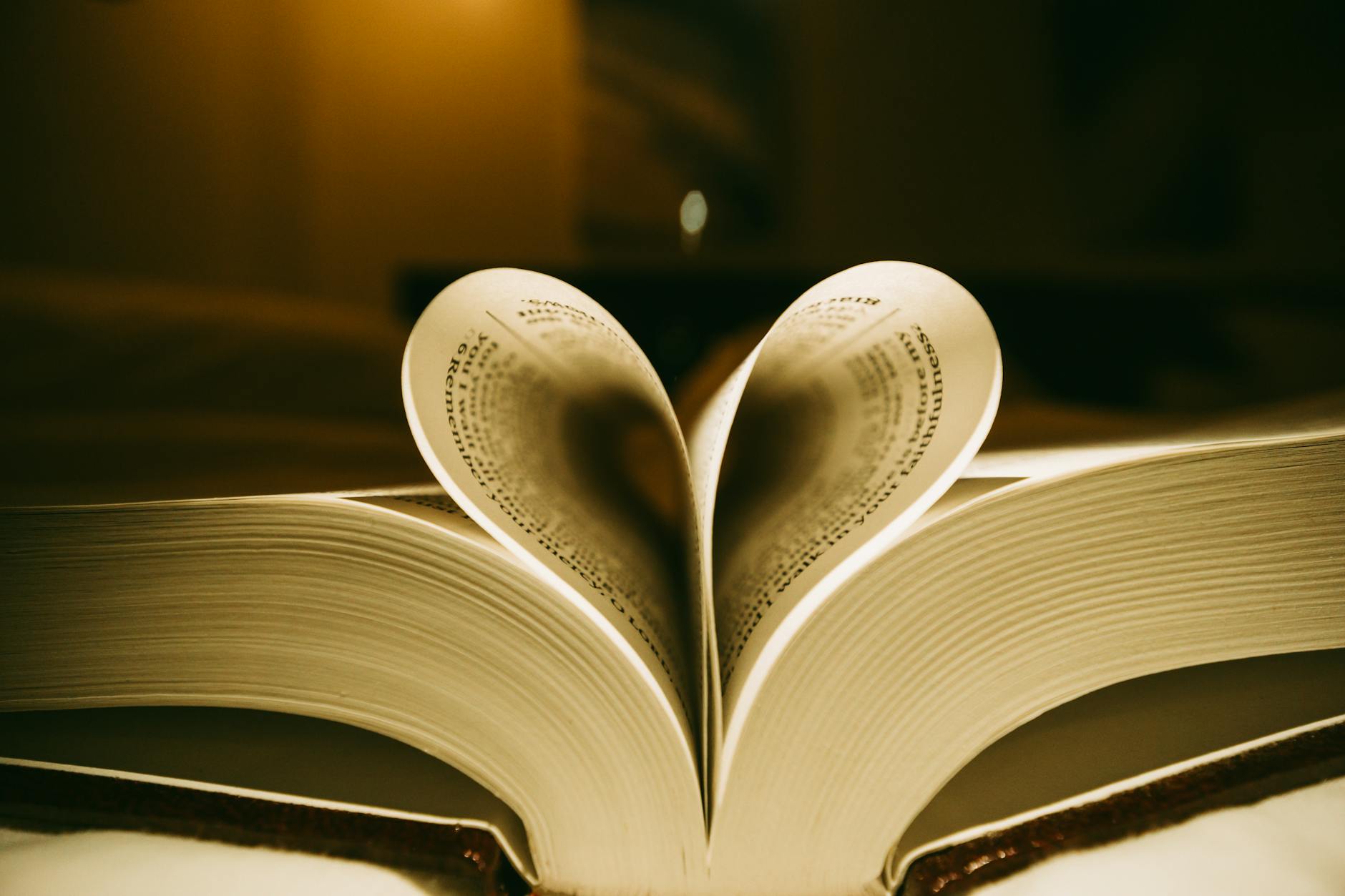 heart shape formed by book pages in warm light
